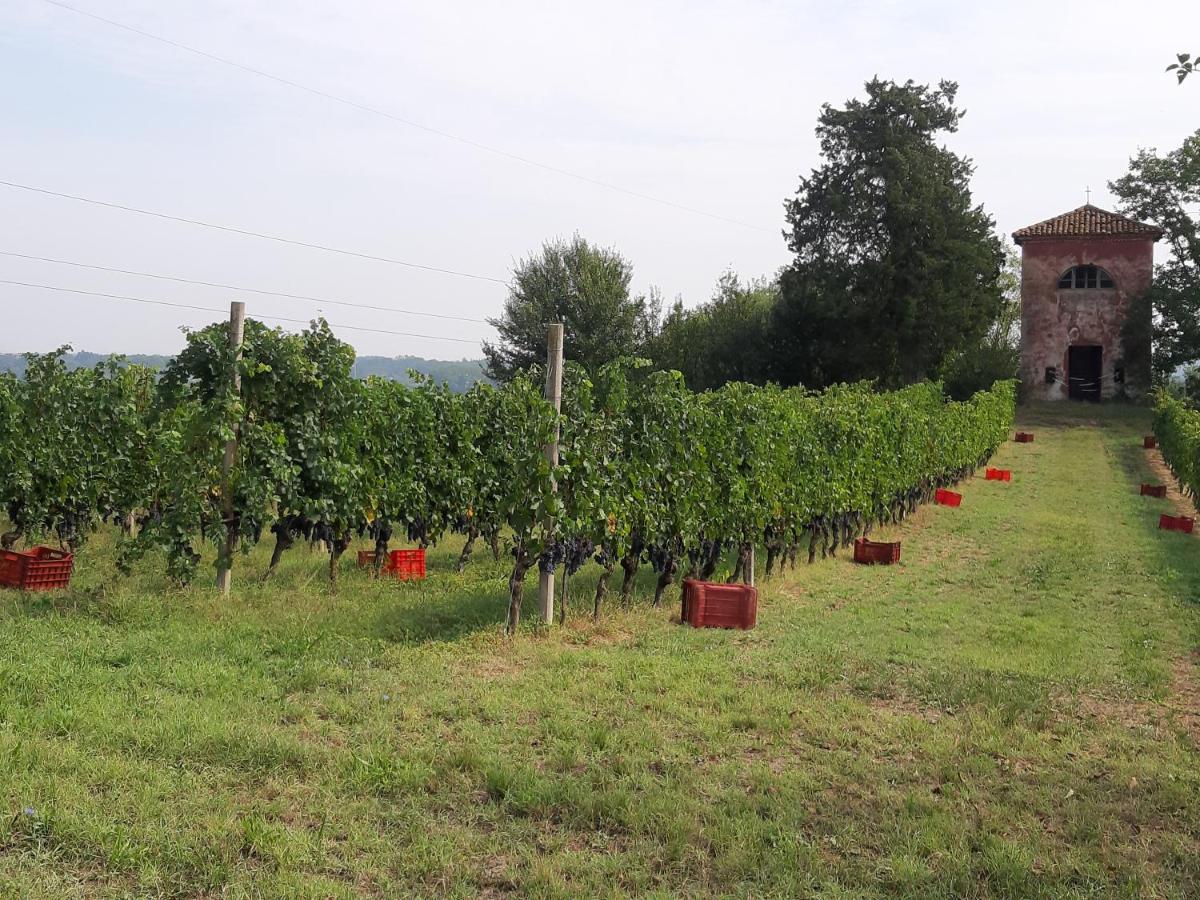 Marchesi Incisa Winery Lodge Rocchetta Tanaro エクステリア 写真